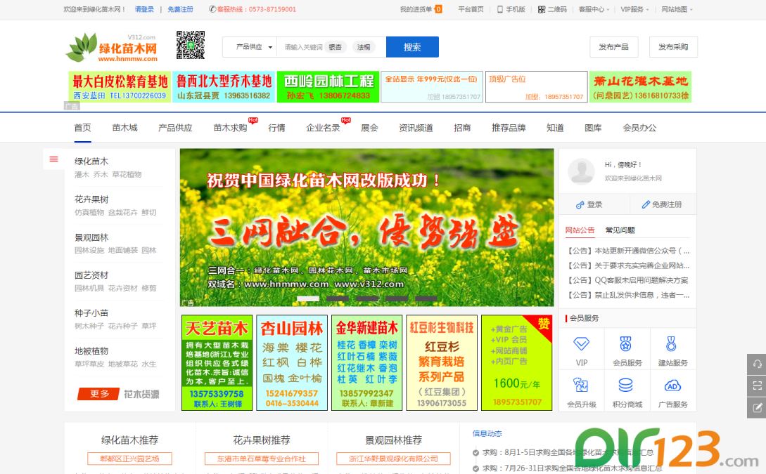 绿化苗木网