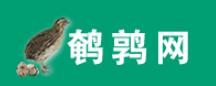 中国鹌鹑论坛
