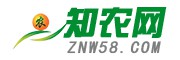知农网官网