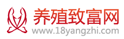 农村养殖致富网