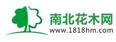 南北花木网