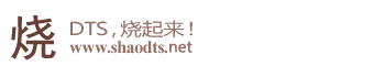 烧DTS音乐网