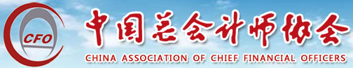 中国总会计师协会网站